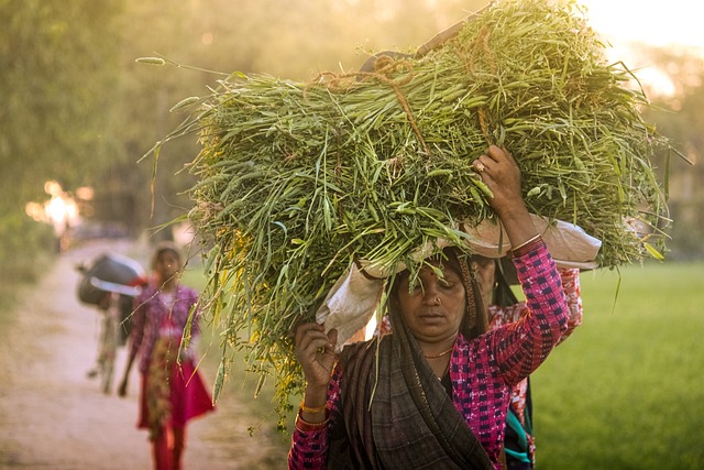 working mothers