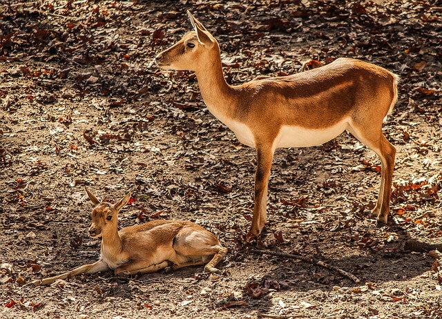 working mother